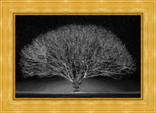 Load image into Gallery viewer, Winter Wonderland
