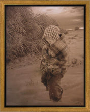 Load image into Gallery viewer, Bodell
