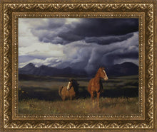 Load image into Gallery viewer, Blue Mountain Storme
