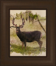 Load image into Gallery viewer, Mule Deer
