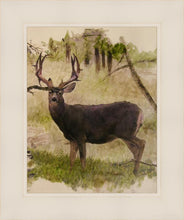 Load image into Gallery viewer, Mule Deer

