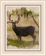 Load image into Gallery viewer, Mule Deer
