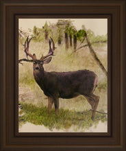 Load image into Gallery viewer, Mule Deer
