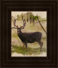 Load image into Gallery viewer, Mule Deer
