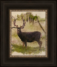 Load image into Gallery viewer, Mule Deer
