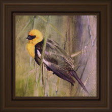 Load image into Gallery viewer, Yellow Headed Black Bird
