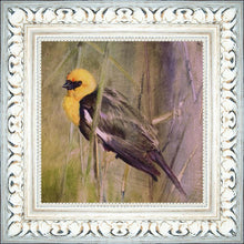 Load image into Gallery viewer, Yellow Headed Black Bird
