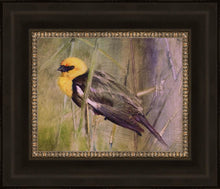 Load image into Gallery viewer, Yellow Headed Black Bird
