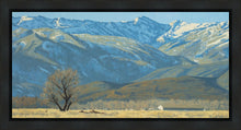 Load image into Gallery viewer, Midway Vista
