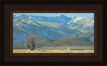 Load image into Gallery viewer, Midway Vista
