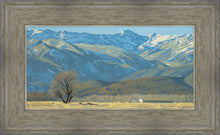 Load image into Gallery viewer, Midway Vista
