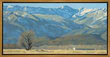 Load image into Gallery viewer, Midway Vista
