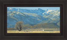 Load image into Gallery viewer, Midway Vista
