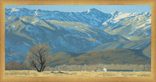 Load image into Gallery viewer, Midway Vista
