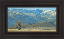 Load image into Gallery viewer, Midway Vista
