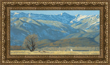 Load image into Gallery viewer, Midway Vista
