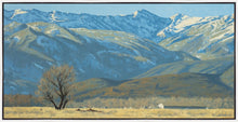 Load image into Gallery viewer, Midway Vista

