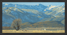 Load image into Gallery viewer, Midway Vista
