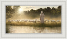 Load image into Gallery viewer, The One

