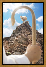 Load image into Gallery viewer, Encircled About
