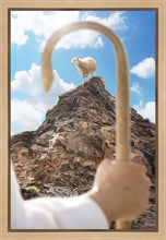Load image into Gallery viewer, Encircled About
