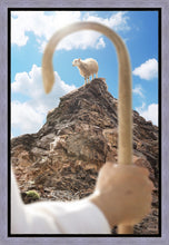 Load image into Gallery viewer, Encircled About
