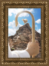 Load image into Gallery viewer, Encircled About
