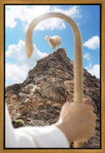 Load image into Gallery viewer, Encircled About
