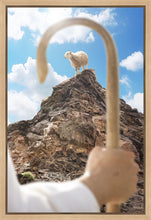 Load image into Gallery viewer, Encircled About
