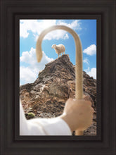 Load image into Gallery viewer, Encircled About

