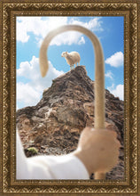 Load image into Gallery viewer, Encircled About
