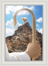 Load image into Gallery viewer, Encircled About

