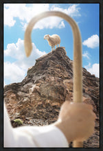 Load image into Gallery viewer, Encircled About
