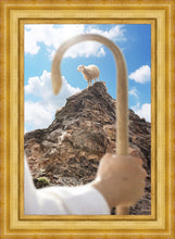 Load image into Gallery viewer, Encircled About
