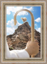 Load image into Gallery viewer, Encircled About
