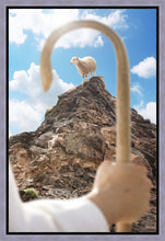 Load image into Gallery viewer, Encircled About
