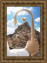 Load image into Gallery viewer, Encircled About
