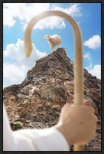 Load image into Gallery viewer, Encircled About
