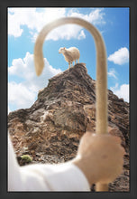 Load image into Gallery viewer, Encircled About
