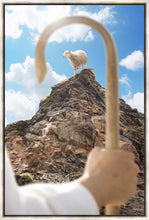 Load image into Gallery viewer, Encircled About
