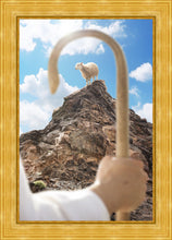 Load image into Gallery viewer, Encircled About
