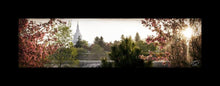 Load image into Gallery viewer, Idaho Falls II, The Day Dawn Is Breaking
