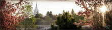 Load image into Gallery viewer, Idaho Falls II, The Day Dawn Is Breaking

