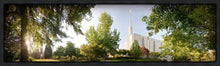 Load image into Gallery viewer, Seattle, The Day Dawn Is Breaking
