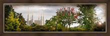 Load image into Gallery viewer, Washington DC, The Day Dawn Is Breaking
