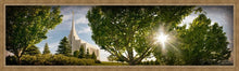 Load image into Gallery viewer, Rexburg, The Day Dawn Is Breaking
