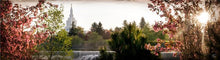 Load image into Gallery viewer, Idaho Falls II, The Day Dawn Is Breaking
