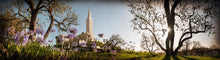 Load image into Gallery viewer, Los Angeles, The Day Dawn Is Breaking
