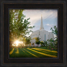Load image into Gallery viewer, Gilbert Brightness and Glory
