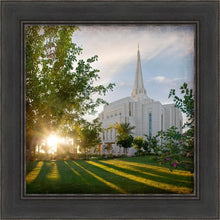 Load image into Gallery viewer, Gilbert Brightness and Glory
